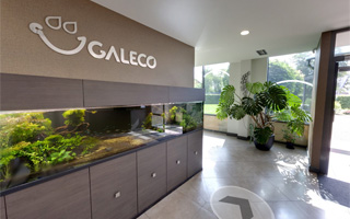 Wirtualny spacer — Galeco